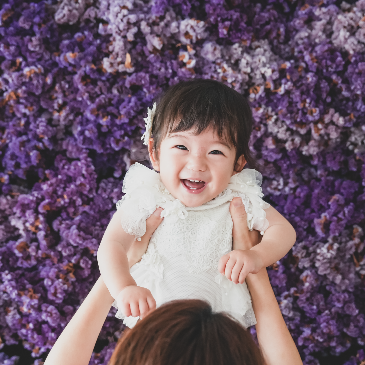 着物を着用した女の子二人の七五三記念写真