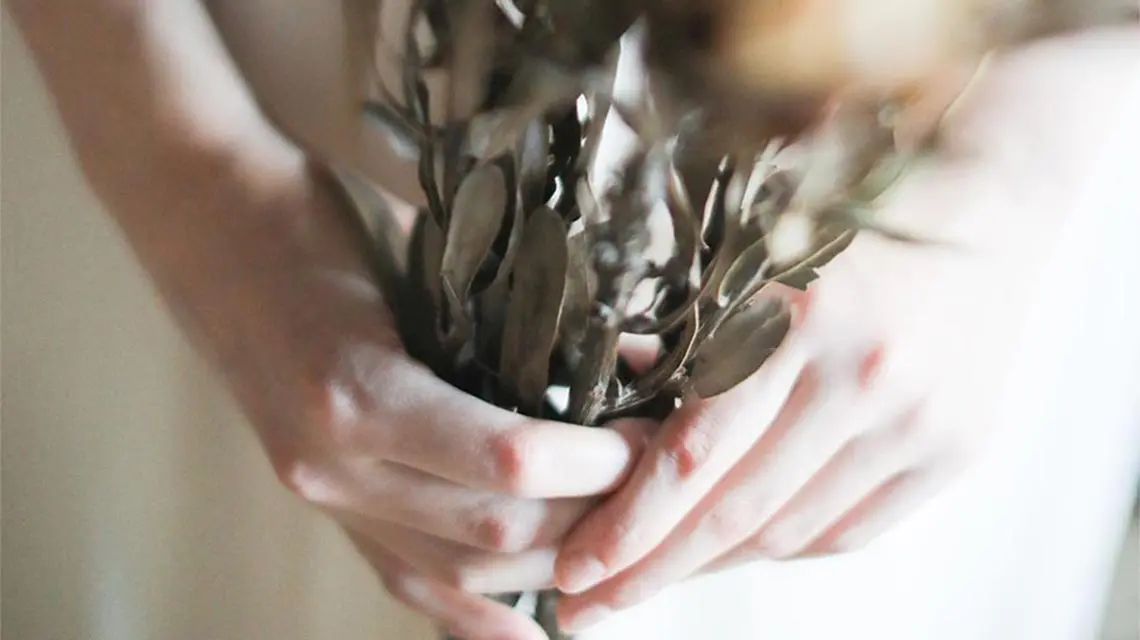 ドライフラワーを差し出す女の子の写真