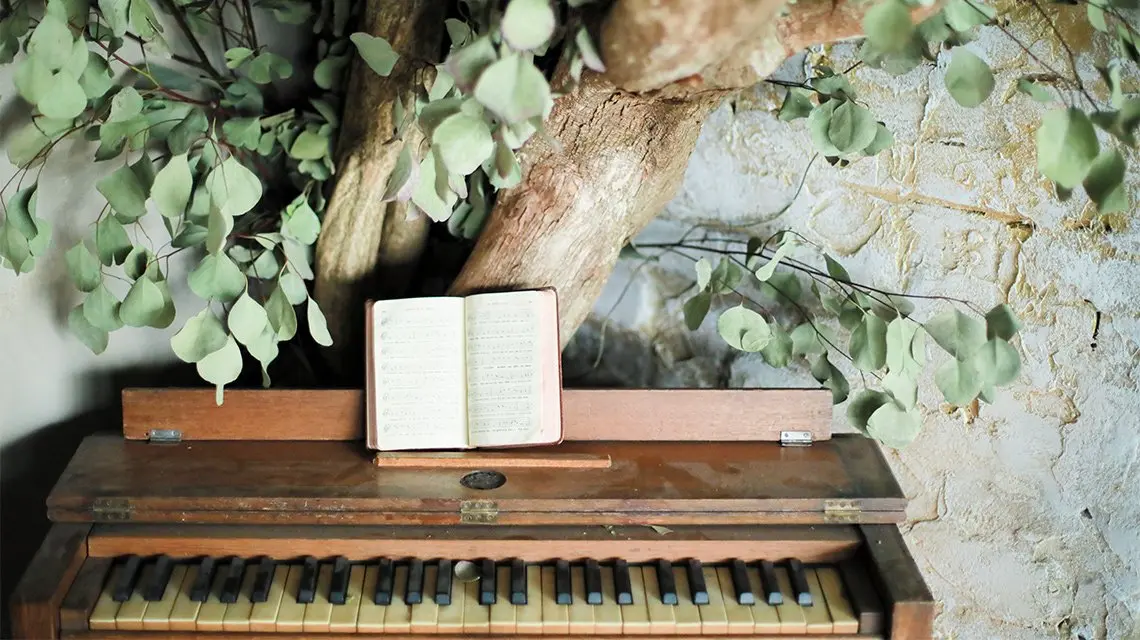 メルシーのセットの写真